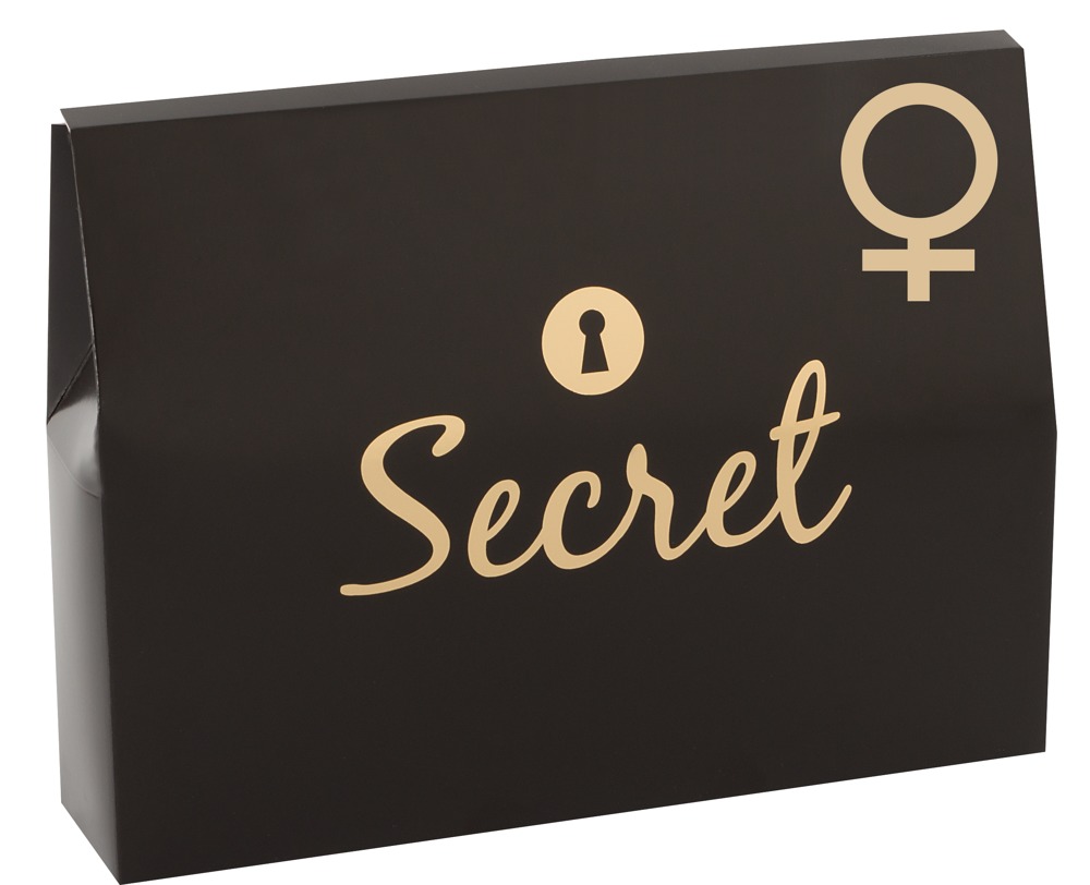 4-teiliges Set „Your Secret Pleasure“ für Frauen mit Toys und Massage-Öl Sex-Spielzeuge online kaufen