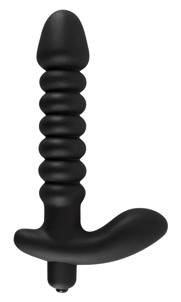 Analdildo „Medium“ mit Vibration und Perineum-Stimulator Vibrator online kaufen Analdildo „Medium“ mit Vibration und Perineum-Stimulator Vibrator online kaufen