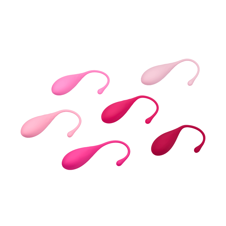 Femmefit - Pelvic Floor Muscle Training Set, 6 Teile Dessous online kaufen