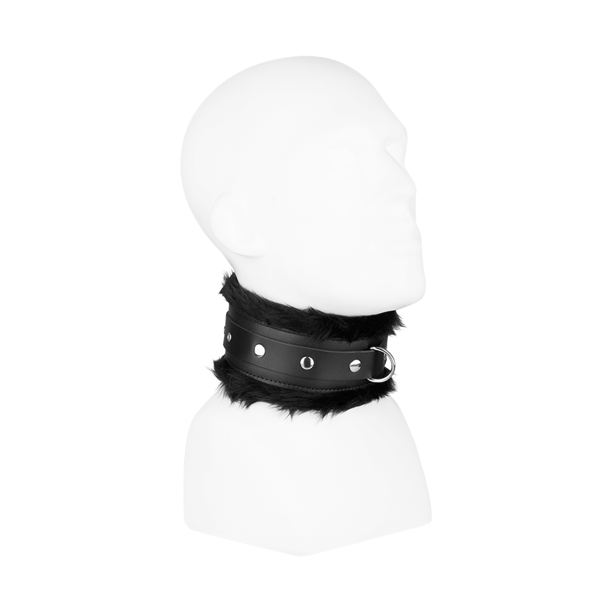 Gepolstertes Halsband, S/M BDSM online kaufen