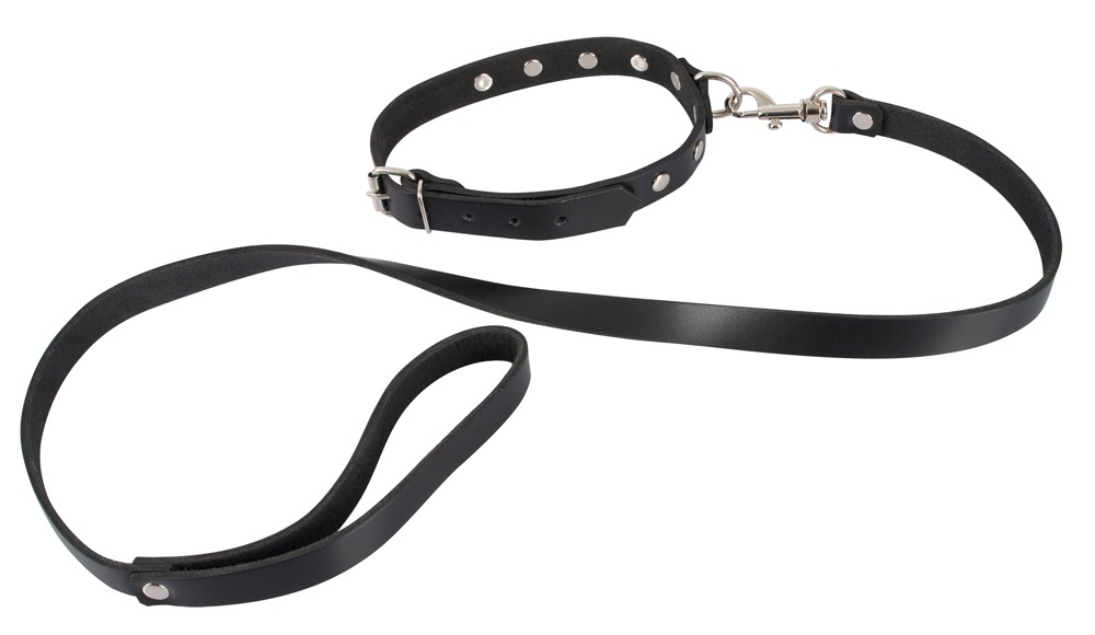 Halsfessel plus Leine, mit Nieten und D-Ring Fetisch online kaufen