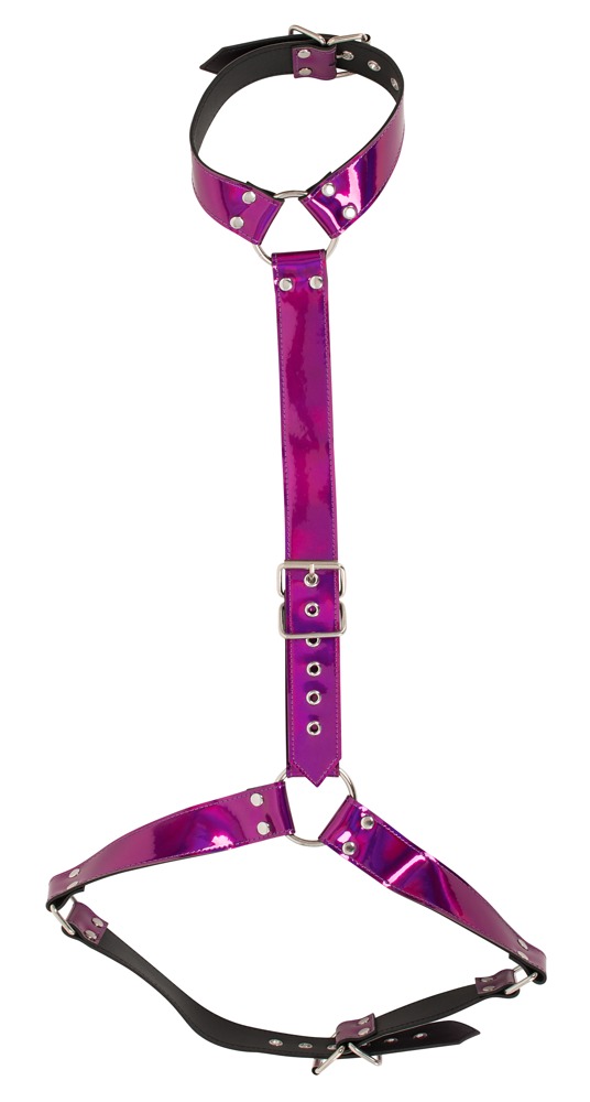 Harness im Metallicglanz Fetisch online kaufen