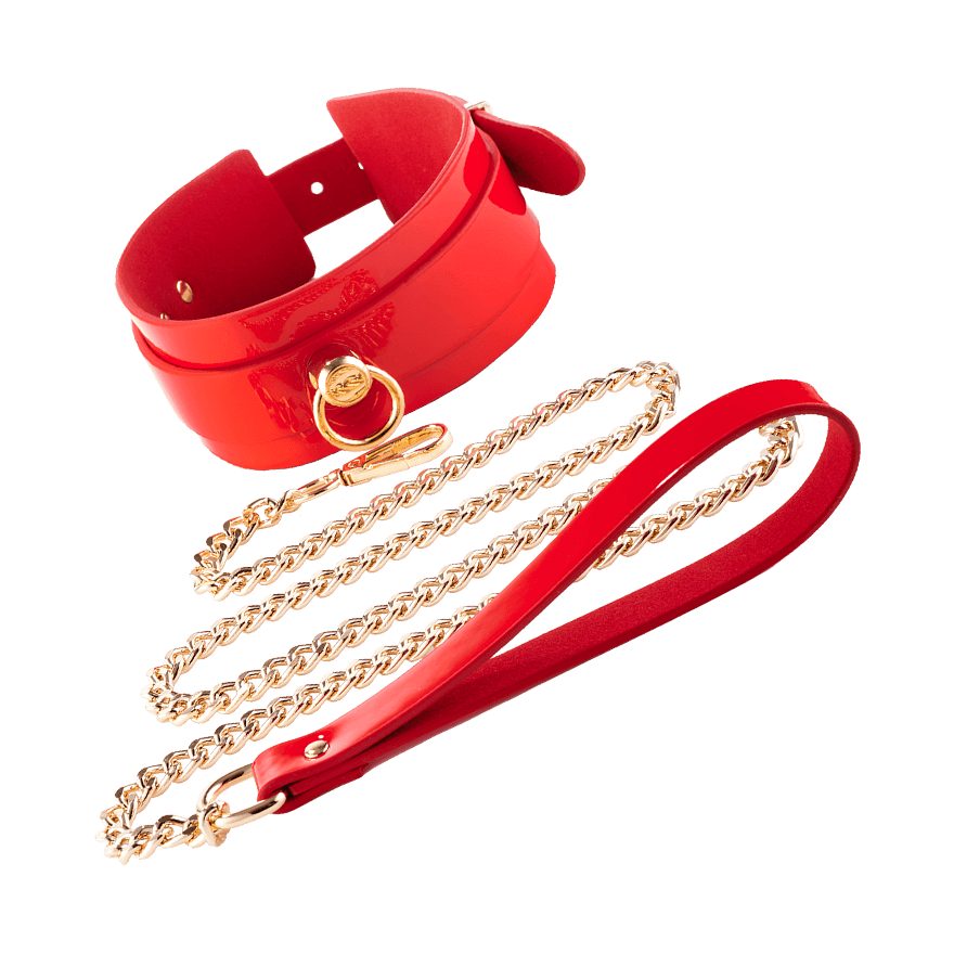 High Gloss Bondage O-Ring Collar & Leash BDSM online kaufen