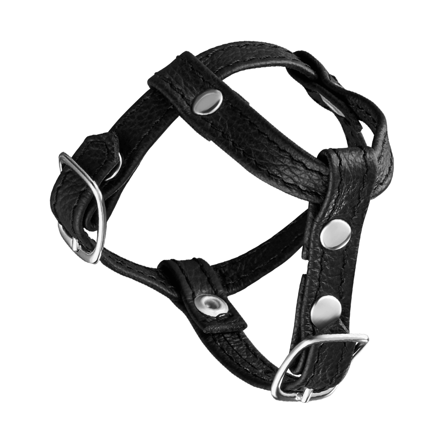 Leder-Penisgurt mit Hodenteiler Dessous online kaufen