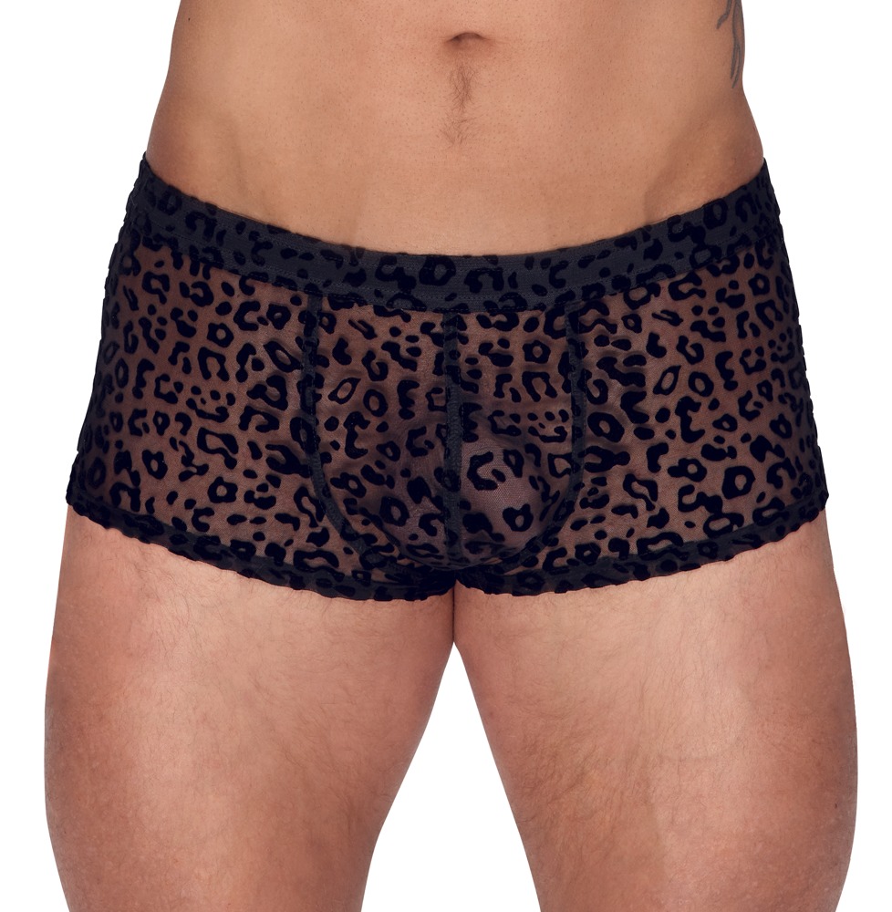 Pants aus feinem Powernet mit Leo-Samtflockprint Dessous online kaufen