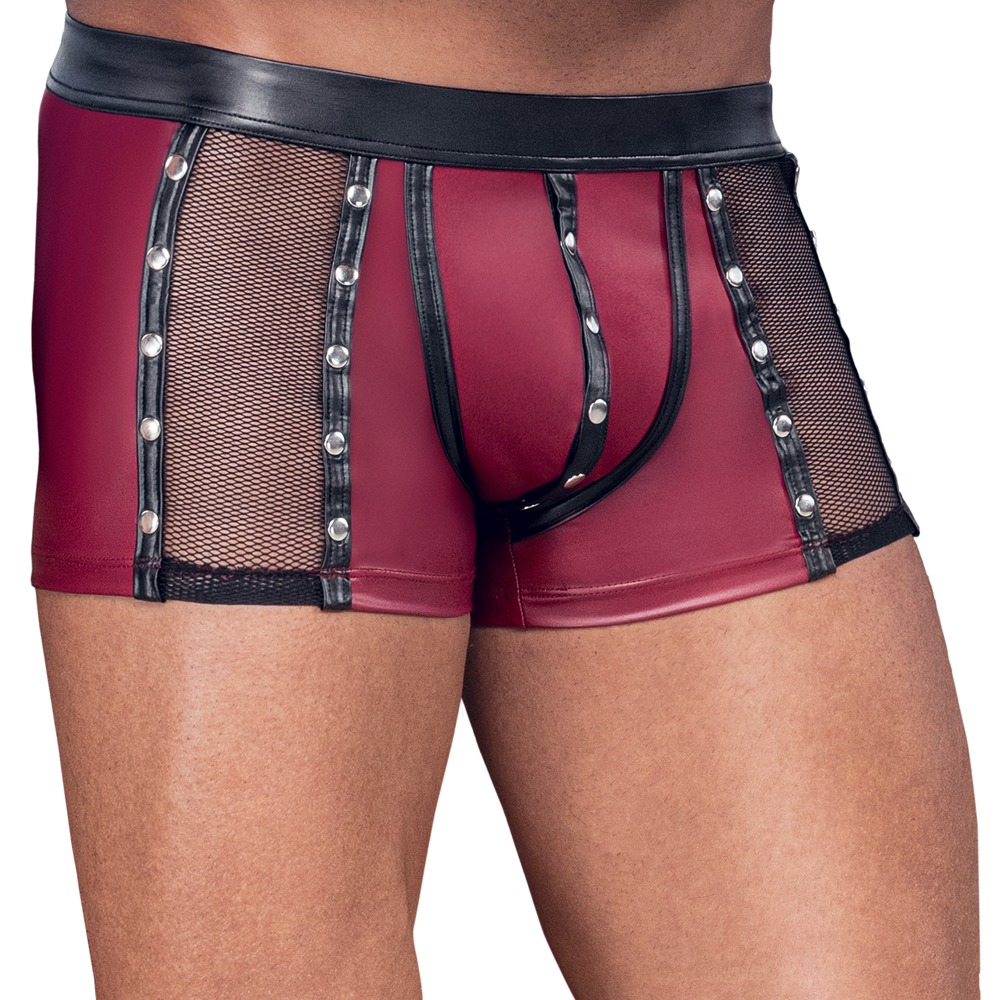 Pants im 2-farbigen Mattlook Dessous online kaufen