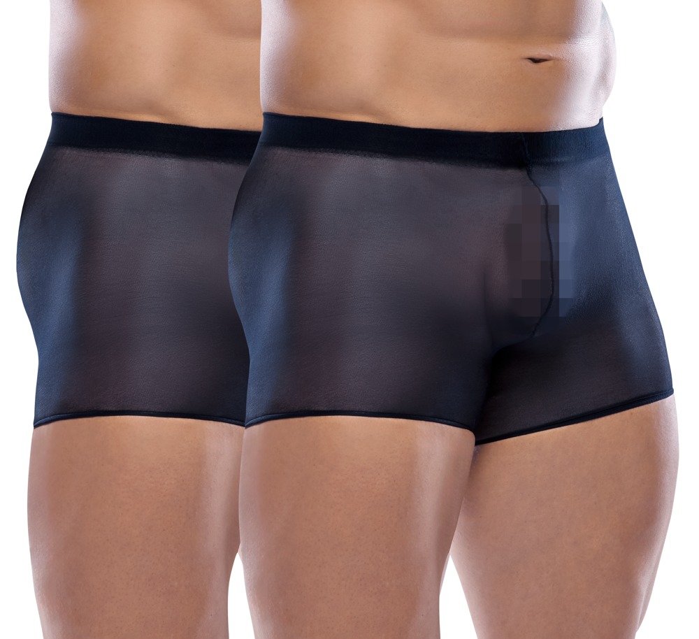 Pants im 2er-Pack, transparent Dessous online kaufen