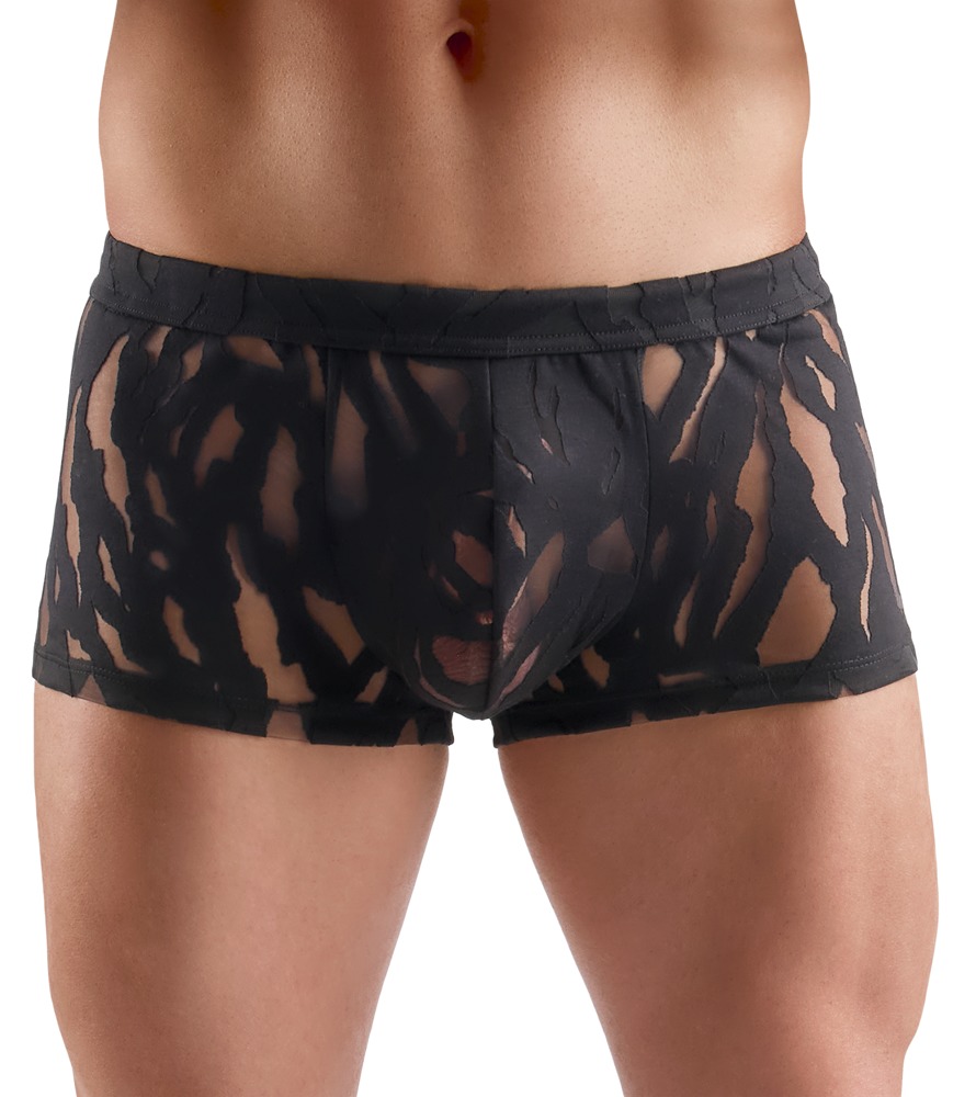 Pants in Ausbrenner-Optik Dessous online kaufen Pants in Ausbrenner-Optik Dessous online kaufen