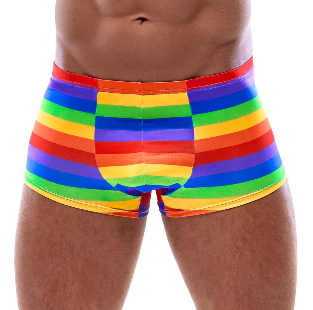 Pants in Regenbogenfarben Dessous online kaufen