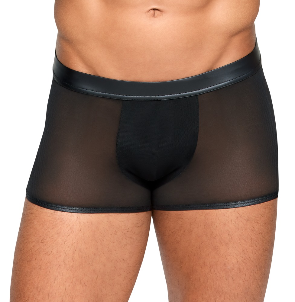Pants, semi-transparent Dessous online kaufen