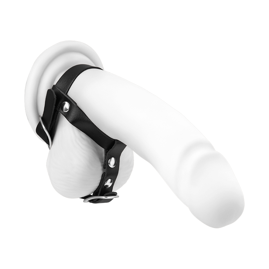 Penis- und Hodengurt aus Leder BDSM online kaufen Penis- und Hodengurt aus Leder BDSM online kaufen