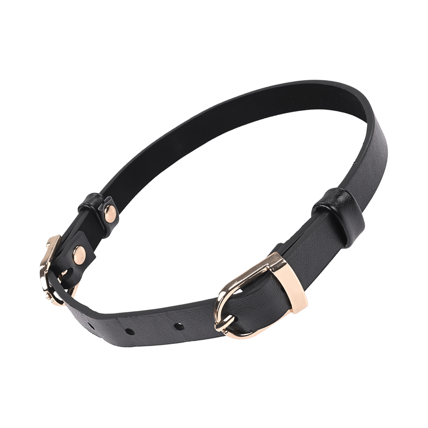 Sex and Mischief - Double Buckle Day Collar BDSM online kaufen Sex and Mischief - Double Buckle Day Collar BDSM online kaufen