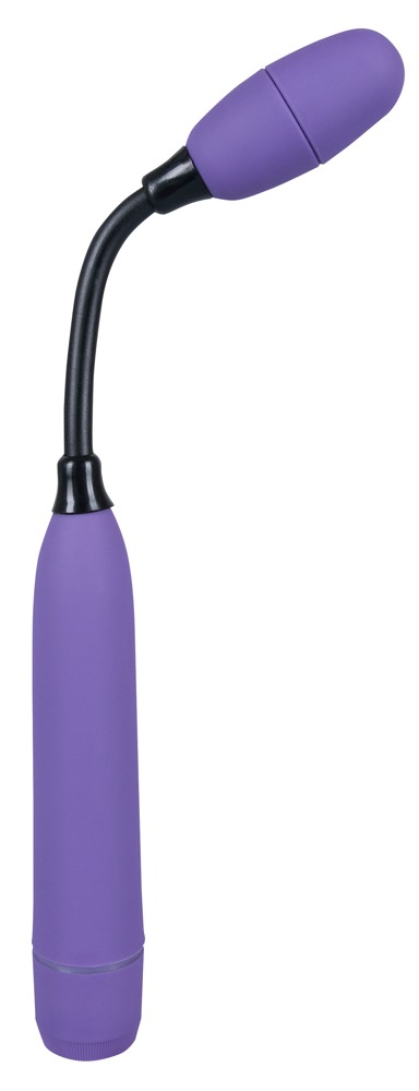 Vibrator „Hey Mr. Flex“, mit Multispeed-Vibration Vibrator online kaufen Vibrator „Hey Mr. Flex“, mit Multispeed-Vibration Vibrator online kaufen